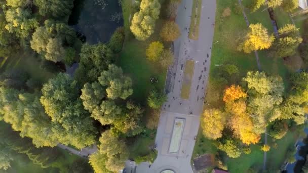 Voo com vista aérea sobre o parque no centro da cidade. Ternopil Ucrânia — Vídeo de Stock