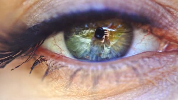Closeup of female eye — Stock Video