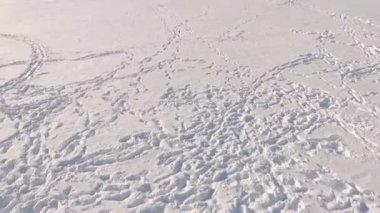 Kış eğlence. Seyahate bir kar arabası. İki adam bir kar kış park Ternopil Ukrayna arka planda donmuş gölün buz üzerinde sürme