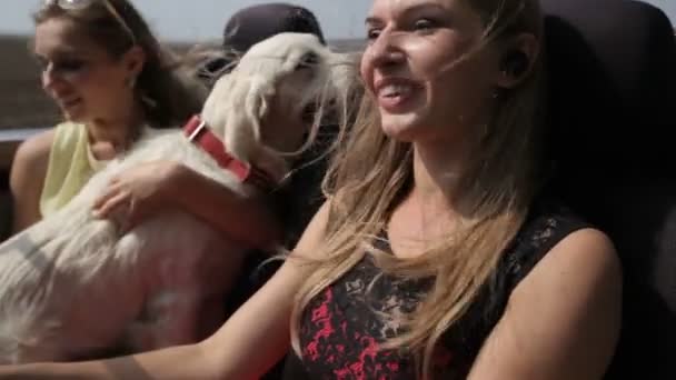 两个快乐的女孩和一条狗骑在一辆开着的车里 — 图库视频影像