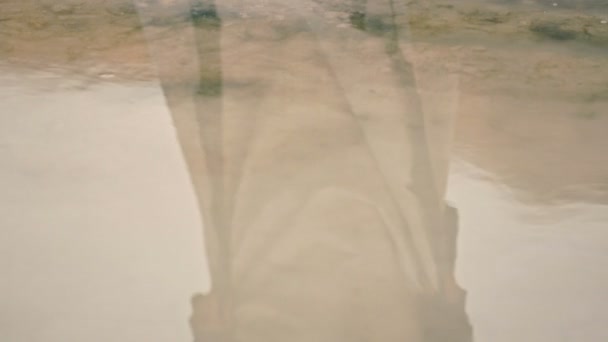 一个年轻的被冒犯的女人站在山上的湖岸边。在水中的倒影。特写 — 图库视频影像