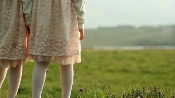 Дві маленькі дівчата-близнюки біжать через зелений луг . — стокове відео