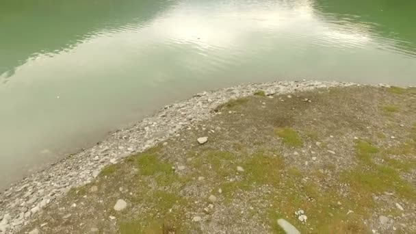 Schönes und glückliches Brautpaar am Ufer des Flusses. — Stockvideo