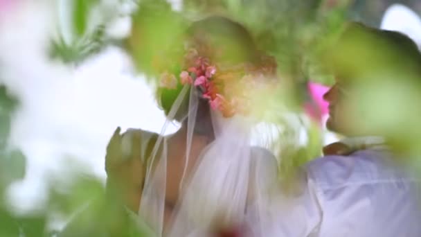 Wedding day. Happy newlyweds.The concept of a happy family life. Blurred background. — Stock Video