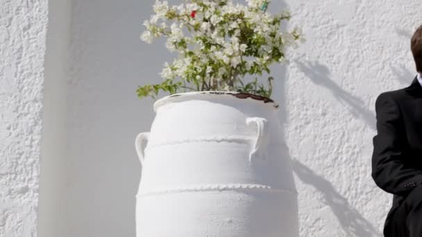 Lyckligt nygifta på deras bröllopsdag mot en vit vägg bakgrund och blomma kruka med blommor — Stockvideo