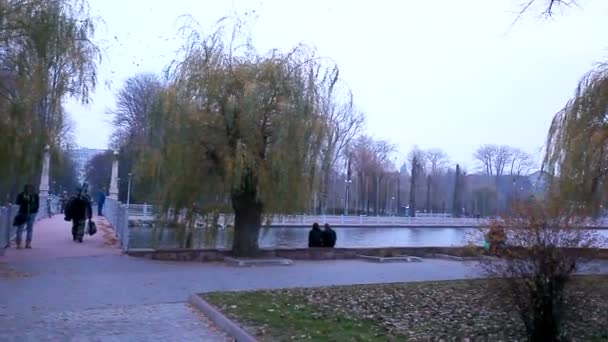 Gente Che Cammina Nel Parco Autunnale Triste Umore — Video Stock