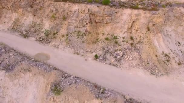 La liebre huye del dron que lo sigue. Vista aérea — Vídeos de Stock