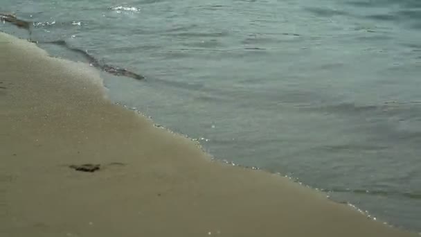 Lycklig kvinna slappnar av på stranden i vatten. Grekland — Stockvideo