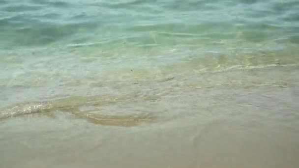 Ευτυχισμένος τύπος και το κορίτσι που άλματα στο νερό της θάλασσας στην παραλία. Μέρη του σώματος. Ελλάδα — Αρχείο Βίντεο