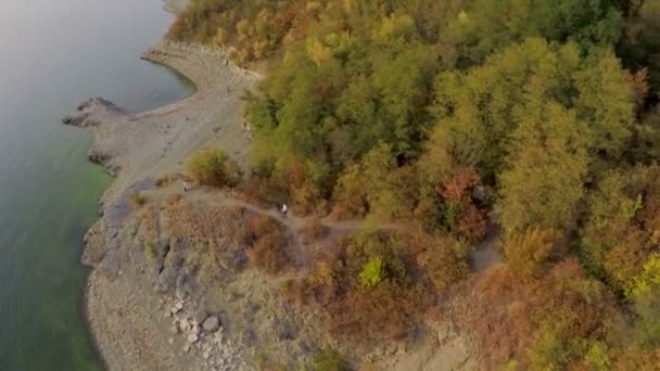 신부 및 신랑의 아름 다운 숲에 대 한 강 아름 다운 가파른 은행에 서 서. aeril 보기. — 비디오