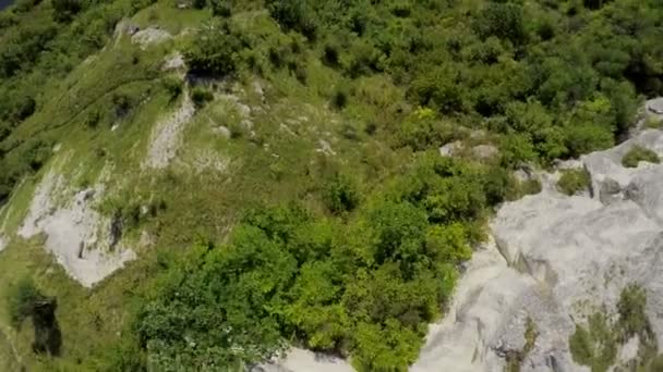 Nádherné letadlo nad lesem nad širokou řekou při západu slunce. Letecký pohled na borové lesy, v létě při západu slunce. aeril zobrazení. — Stock video