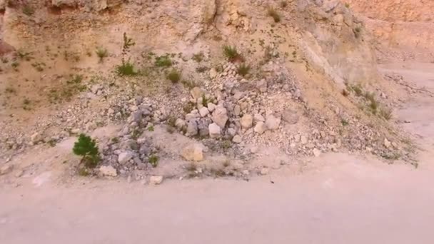 Le lièvre s'enfuit du drone qui le suit. Vue aérienne — Video