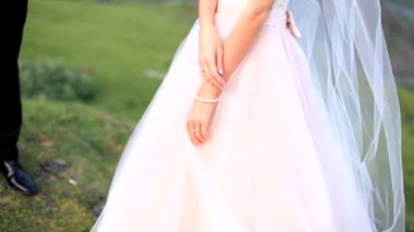 Güzel dağlar arka planda neşeli yeni evliler