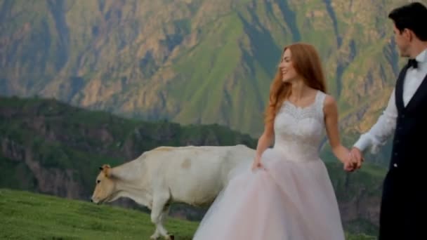 Glada nygifta på en bakgrund av vackra bergen, i bakgrunden en ko passerar — Stockvideo