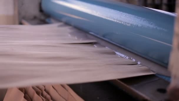 Möbelfabrik. Produktion av plywood. — Stockvideo