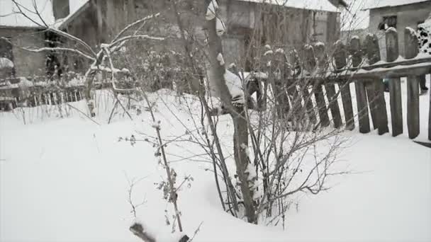Starý opuštěný dřevěný dům a vratké starý plot pod sněhem v zimě — Stock video