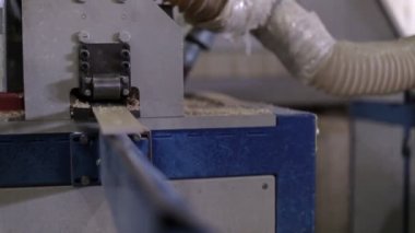 Ahşap plakalar ve kurulları bir mobilya fabrikasında yapılır