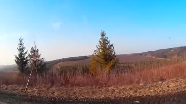 Vista della foresta autunnale da una finestra dell'auto — Video Stock