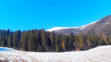 Kış orman ve mavi gökyüzü altında beyaz kar ile kaplı dağlar