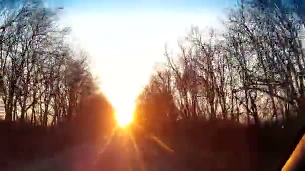 Árboles sin hojas están a lo largo de la carretera, rayos brillantes del sol poniente al final de la carretera . — Vídeos de Stock
