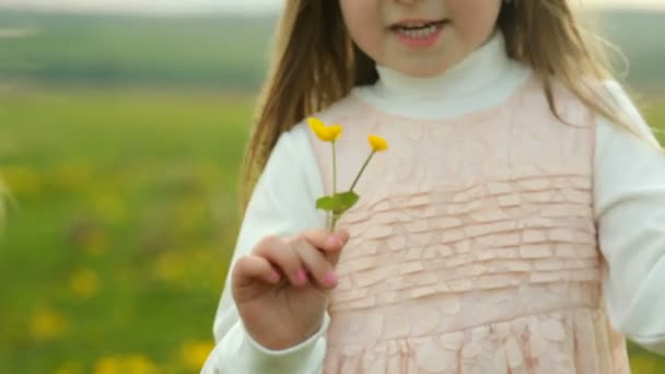 Two little girls in a green meadow guessing flowers — Stock Video