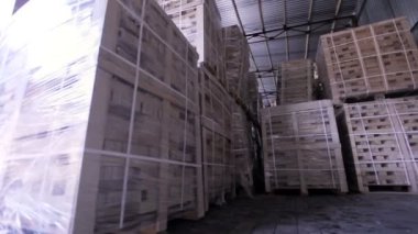 Kontrplak bir mobilya fabrikasında üretim. Depolama odası ile paketlenmiş kontrplak