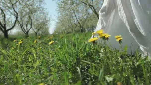 Две очаровательные девушки в белых платьях гуляют в цветущем саду в солнечный день. Части тела — стоковое видео