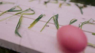 dekorasyon Paskalya için. Paskalya bunnyes