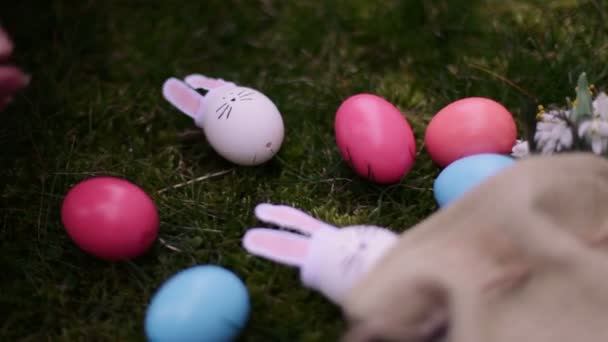 Dekoration Für Ostern Osterhasen Auf Dem Grünen Gras — Stockvideo