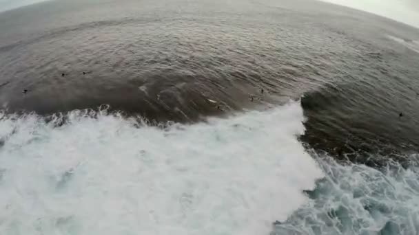 Luftaufnahme des tobenden Ozeans mit Surfern.. Adrenalin pumpenden Urlaub. Teneriffa, Spanien, Kanarische Inseln. — Stockvideo