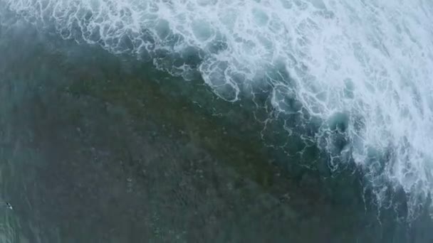 Impresionante vista de aves del mar y olas con espuma. Tenerife. España. Vista aérea — Vídeo de stock