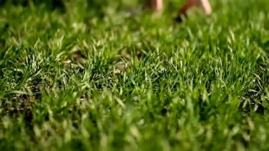 Bir kız bir yaz gününde yemyeşil çim ile yeşil bir çayır üzerinde yalınayak duruyor. Vücut parçaları