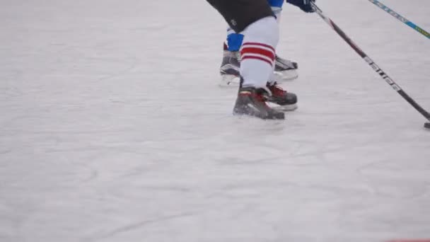 Hockey game on the hockey field . Winter sport. body parts — Stock Video