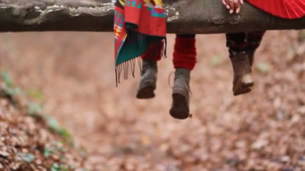 Twee grappige meisjes tweeling zitten in het bos op een log tegen de achtergrond van gevallen geel loof. — Stockvideo