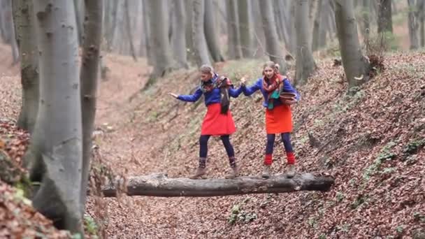 Дві красиві дівчата-близнюки ходять в осінньому лісі — стокове відео