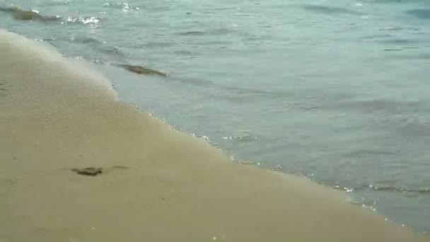 Grekland. Vågor sprider sig på havet strand med fin våt sand — Stockvideo