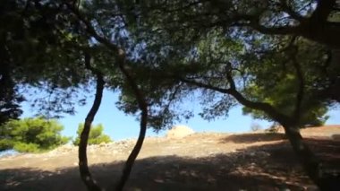 Çam ormanından güneşli bir çayıra, antik bir camiye güzel bir geçiş..