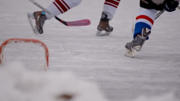 Partita di hockey. Sport invernali. parti del corpo — Video Stock