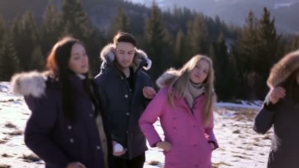 Három lány és egy srác pihennek a hegyekben egy tűlevelű erdő hátterében egy napos téli napon. — Stock videók