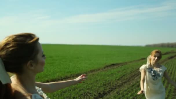 Twee tweeling meisjes in witte jurken lopen blootsvoets op groen gras in een weide. — Stockvideo