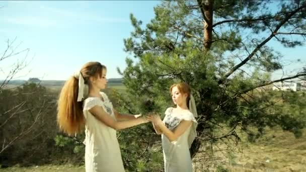 소나무 숲 속을 걷는 쌍동 이 소녀 두 명 — 비디오