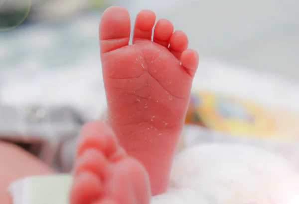Cute Noworodka Nogi Lekkim Kocu Śpiące Dziecko Jasnym Tle Zbliżenie — Zdjęcie stockowe