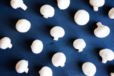 Mavi ahşap zemin üzerinde şampiyonlar uzanır