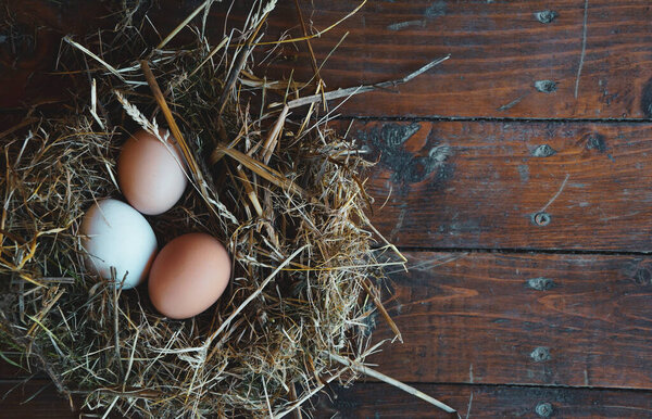 farm rustic chicken eggs in nest on wooden panel with place for text