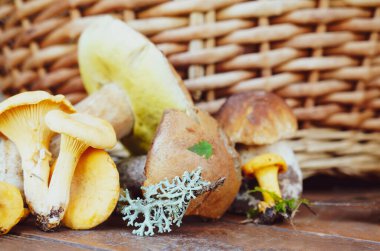 Hasır sepetin arka planına karşı ahşap bir masada farklı türde yenilebilir mantarlar.