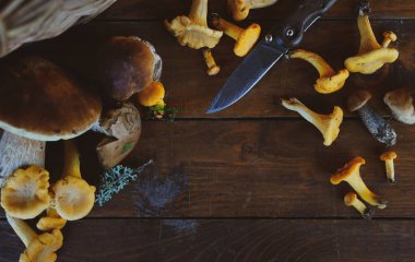farklı yenilebilir mantarlar ahşap bir masada, kopyalama alanı