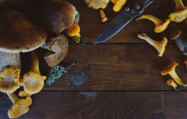 farklı yenilebilir mantarlar ahşap bir masada, kopyalama alanı