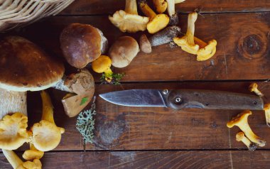 farklı yenilebilir mantarlar ahşap bir masada, kopyalama alanı