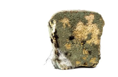 Bir somun küflü kahverengi ekmek izole bir zemin üzerinde, farklı küfler ekmek üzerinde