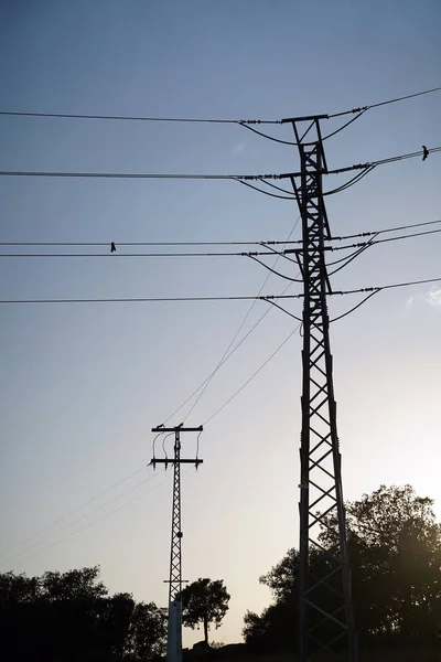 Electrical tower in sunset sky 2